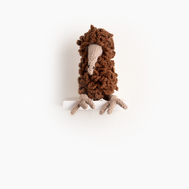 kiwi Bird crochet amigurumi project pattern kerry lord Edward's menagerie